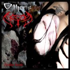 Picture for song 'Brilliant Reflections' by artist 'Others'
