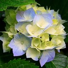 Picture for song 'The Moment' by artist 'Our Last Sin'