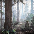 Picture for song 'Enchanted Glade' by artist 'Painted Water'