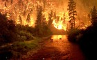 Picture for song 'hot' by artist 'palm of ice'