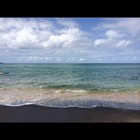 Picture for song 'Island Bass Instrumental' by artist 'Papi Pounds'