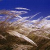 Picture for song 'Hold out for summer' by artist 'Paul Castle'