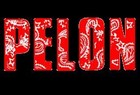 Picture for song 'When its time 2 ride' by artist 'pelon925'
