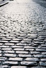 Picture for song 'Where Ever This Path May Go' by artist 'Pelvic Ostentations'