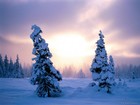 Picture for song 'Cold days (2008)' by artist 'Perfect Blue (SWE)'