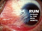 Picture for song 'RUN (tribute to The Residents)' by artist 'Permanent Summer'