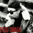 Picture for song 'SHES A PRO' by artist 'Peso Swagg'