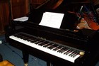 Picture for song 'Piano Opus #008 in C Major' by artist 'Peter Gardner'