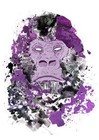 Picture for song 'Gorillas In The Mist' by artist 'Phil The Great'