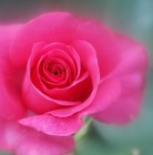 Picture for song 'the real you' by artist 'pilot beacon'