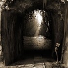 Picture for song 'The way out' by artist 'Plankis'