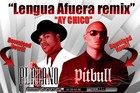 Picture for song 'AY CHICO REMIX' by artist 'PLATANO'