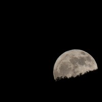 Picture for song 'Bad Moon Rising' by artist 'PoisonStreet47'