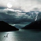 Picture for song 'Eidolon' by artist 'Polyp and Medusa'