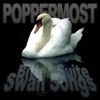 Picture for song 'Swan' by artist 'Poppermost'