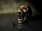 Picture for song 'Abnormal' by artist 'PREY (MX)'