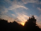Picture for song 'I'm Speaking Digi (Original Mix)' by artist 'Primero'