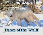 Picture for song 'Dance of the wulff' by artist 'princess eldi'