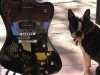 Picture for song 'Redhead Fuzz Stompin' Drone' by artist 'Professor Fuzz Sixty-Three'