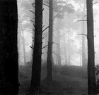 Picture for song 'Frostie' by artist 'Pseudorot'