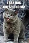 Picture for song 'Scheiße' by artist 'Psybash'