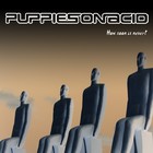 Picture for song 'Who was wrong' by artist 'Puppies on acid'