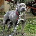 Picture for song 'Keep On Movin 1/2 OFF' by artist 'puppy love ent'