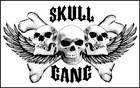 Picture for song 'Skull Gang Banger www.rockybeats.com' by artist 'R0CkyBeatz'