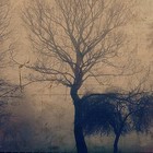 Picture for song 'predictions' by artist 'RADIO-LAB'