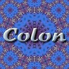Picture for song 'Colon' by artist 'Raul Abella'
