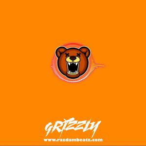 Picture for song 'GRIZZLY (BUY 1 GET 4 FREE)' by artist 'Razdam Beatz'