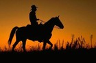 Picture for song 'Sunset Cowboy' by artist 'Real to reel'
