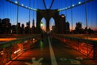 Picture for song 'CRUISE CONTROL BEAT' by artist 'REELISTIC BEATS'