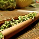 Picture for song 'Smoke Music.mp3' by artist 'ReeseThaKid'