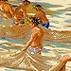 Picture for song 'The Hukilau' by artist 'Rex Reynolds'