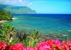 Picture for song 'When I dream about Hawaii' by artist 'Rex Reynolds'