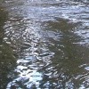 Picture for song 'Rivers of Tears' by artist 'Richard Bethell'