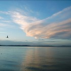 Picture for song 'Ryliah Leaves' by artist 'Richele Kuhlmann'