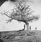 Picture for song 'Team Me' by artist 'ROBERT CURRIE'