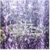 Picture for song 'Dancing in the Rain (demo)' by artist 'Robert Miller'