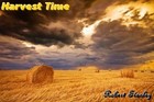 Picture for song 'Harvest' by artist 'Robert Stanley'
