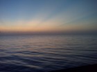 Picture for song 'La Palmera Blues (Rhythm Track)' by artist 'Robert Strom - Guitar'