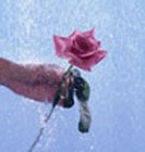 Picture for song 'How About Some Sweet Love' by artist 'Robin Lee Field'