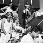 Picture for song 'Acetamedicine' by artist 'Robin Roddey'