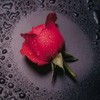 Picture for song 'Love Me, Love Me' by artist 'Rob Lewczyk'