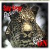 Picture for song 'Awwright' by artist 'RockOn'