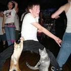 Picture for song 'party.mp3' by artist 'rockstar172'