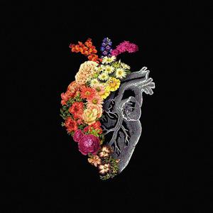 Song picture