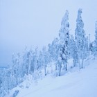 Picture for song 'Different Seasons' by artist 'Rory David'