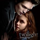Picture for song 'Bella's Lullaby Orchestrated with Lyrics' by artist 'Ross Priluker'